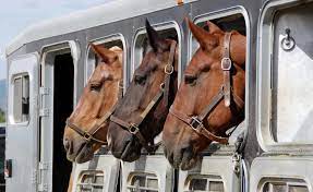 правила за превоз на животни