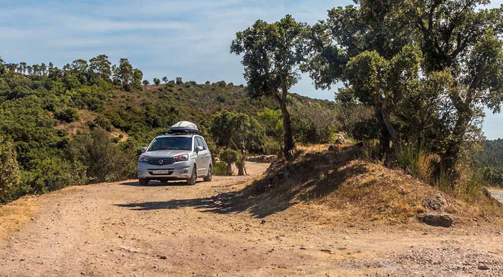 шофиране по черен път